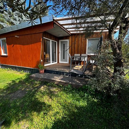 Ferienhaus Zeulenrodaer Meer 외부 사진