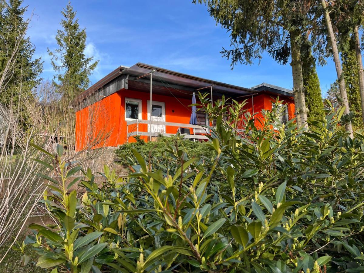 Ferienhaus Zeulenrodaer Meer 외부 사진